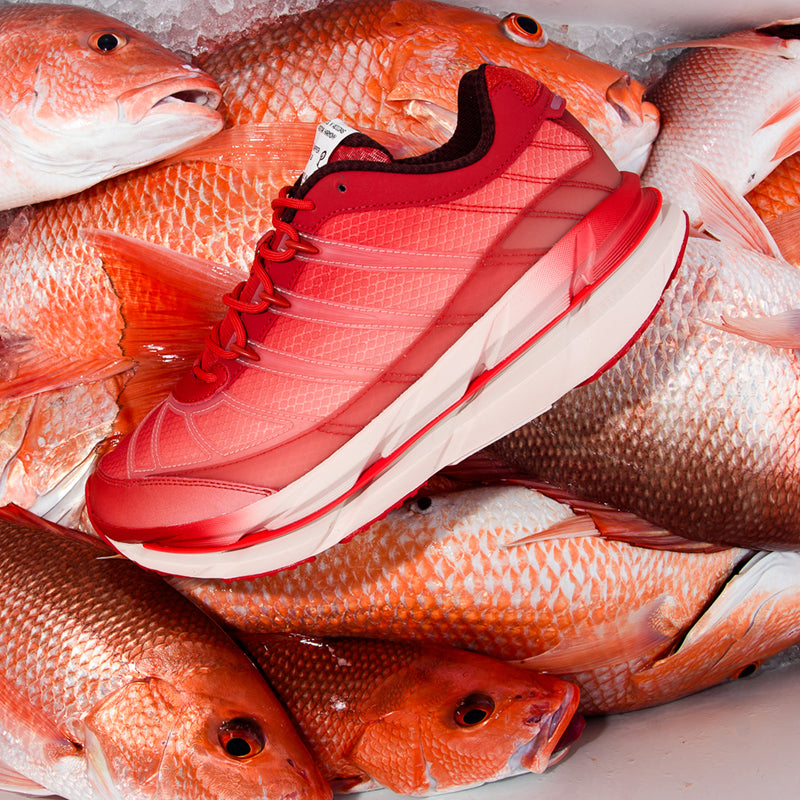 Politics x Adidas Adistar HRMY 'Red Snapper' - Bright Red/Off White